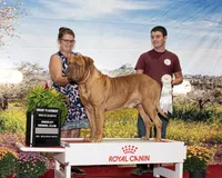 processed/5247313e-4d37-4bff-8ce2-1cb9c9059468/facility/23d7c94b-2d1e-4fe0-a42c-30a24cfb9224