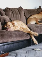 processed/5247313e-4d37-4bff-8ce2-1cb9c9059468/facility/381c802f-80f2-4adb-8440-02e1f3ccfc50