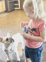 processed/5247313e-4d37-4bff-8ce2-1cb9c9059468/facility/672d9604-0f15-4678-9da4-8eeea870a370