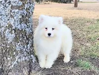 processed/52494fa9-e9c2-471e-9f79-3465fcb472a1/listing/2afc69f9-a688-46ca-9b58-5516c4bd4198/21b57e74-a51a-4d30-a4ae-7f082c378b73