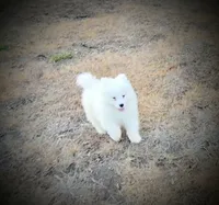 processed/52494fa9-e9c2-471e-9f79-3465fcb472a1/listing/2afc69f9-a688-46ca-9b58-5516c4bd4198/6300de80-c546-4dff-bafa-c9c7e9a094bd