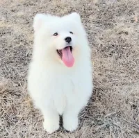 processed/52494fa9-e9c2-471e-9f79-3465fcb472a1/listing/2afc69f9-a688-46ca-9b58-5516c4bd4198/acdb102d-91b9-49a0-b073-dcb0766673c4