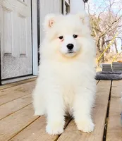 processed/52494fa9-e9c2-471e-9f79-3465fcb472a1/listing/2afc69f9-a688-46ca-9b58-5516c4bd4198/cc92ffa1-f478-4127-af0f-d4359173a028