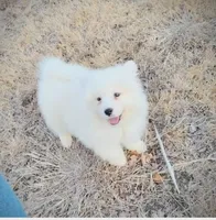 processed/52494fa9-e9c2-471e-9f79-3465fcb472a1/listing/2afc69f9-a688-46ca-9b58-5516c4bd4198/d6bab869-3c27-4b5d-90e6-5dfa023fb578