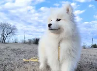 processed/52494fa9-e9c2-471e-9f79-3465fcb472a1/listing/2afc69f9-a688-46ca-9b58-5516c4bd4198/f33dfe56-ef3e-4020-9bc3-83ae8cd5f949