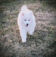 processed/52494fa9-e9c2-471e-9f79-3465fcb472a1/listing/331dd9d8-abed-436b-ba78-1dd9613af967/50fc90e5-44c3-4f9c-8892-fa81c666b25e