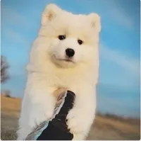 processed/52494fa9-e9c2-471e-9f79-3465fcb472a1/listing/331dd9d8-abed-436b-ba78-1dd9613af967/e14c90a7-5fc8-4dff-a26c-ae15a77c94b0