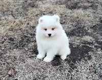 processed/52494fa9-e9c2-471e-9f79-3465fcb472a1/listing/41de892a-38e1-47bb-a6fd-d5c4edf32df0/a59c540e-b3f2-4332-83fa-f762e00ef875