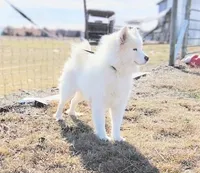 processed/52494fa9-e9c2-471e-9f79-3465fcb472a1/listing/88749c5d-3a8a-4242-b4fb-a660f3280f89/11e1fc50-a952-49f9-bfe5-fc225e6f3674