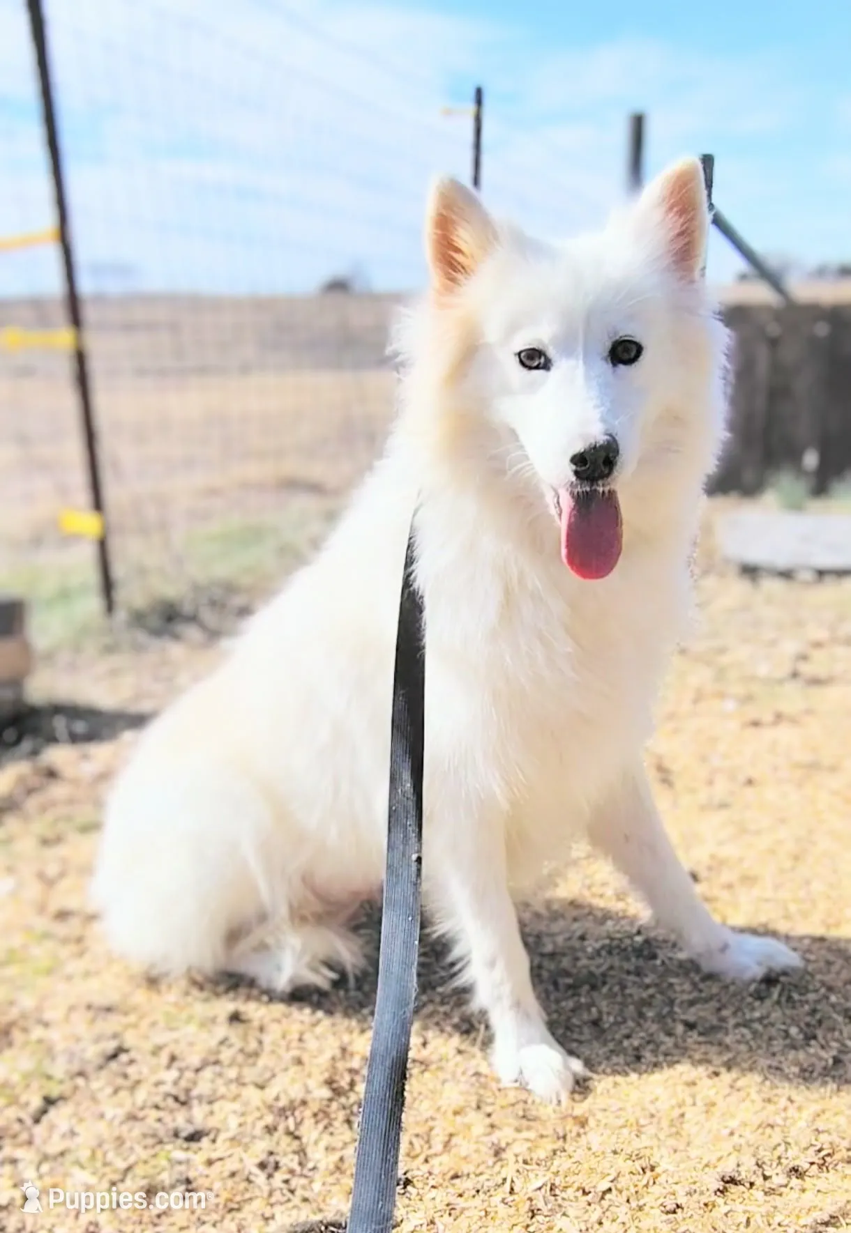 processed/52494fa9-e9c2-471e-9f79-3465fcb472a1/listing/8ccccab9-99f3-4bdb-b9ec-99c9e4c4e2ff/48b4c40d-8e1e-4871-9a96-089a0cdbacf8