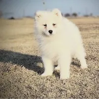 processed/52494fa9-e9c2-471e-9f79-3465fcb472a1/listing/9b69e9ee-6b49-420a-a1b3-e125d0c1ee2f/220d14fa-841e-4d56-b4ba-1203fa996174