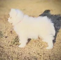 processed/52494fa9-e9c2-471e-9f79-3465fcb472a1/listing/9b69e9ee-6b49-420a-a1b3-e125d0c1ee2f/8f4d7771-8a09-4aa2-8633-cc7c080ae978