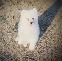 processed/52494fa9-e9c2-471e-9f79-3465fcb472a1/listing/9b69e9ee-6b49-420a-a1b3-e125d0c1ee2f/e92bf6c2-9b62-4560-859b-1cae08211203