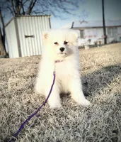 processed/52494fa9-e9c2-471e-9f79-3465fcb472a1/listing/a98f7a5b-2f5b-47cb-bf11-85c53223ed81/3e6ba048-b98b-4244-aa10-ea29201df342