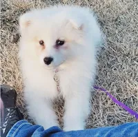 processed/52494fa9-e9c2-471e-9f79-3465fcb472a1/listing/a98f7a5b-2f5b-47cb-bf11-85c53223ed81/77cd453d-200e-4d10-9334-f4902d49f090