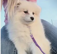 processed/52494fa9-e9c2-471e-9f79-3465fcb472a1/listing/a98f7a5b-2f5b-47cb-bf11-85c53223ed81/839e5f3e-9f93-434a-b126-cb1c5b2af873