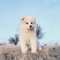 processed/52494fa9-e9c2-471e-9f79-3465fcb472a1/listing/a98f7a5b-2f5b-47cb-bf11-85c53223ed81/9eab8766-5bef-407b-89ea-2aa1b71d1ef8