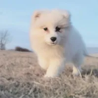 processed/52494fa9-e9c2-471e-9f79-3465fcb472a1/listing/a98f7a5b-2f5b-47cb-bf11-85c53223ed81/9f190c96-8c0d-4d5e-a4ec-ab28e45be808