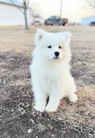 processed/52494fa9-e9c2-471e-9f79-3465fcb472a1/listing/fac83a01-5e90-401e-bcd8-5a5adcc04bc7/22b54e64-441b-4f9e-8474-9bd5d427f6c7