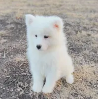 processed/52494fa9-e9c2-471e-9f79-3465fcb472a1/listing/fac83a01-5e90-401e-bcd8-5a5adcc04bc7/e0905c13-da65-4e8a-8440-6a678d957d3a