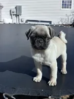 processed/524e2e43-2cee-4822-bc60-25e7e736f12f/facility/090634cc-a06d-40e5-9e73-1dbf6e980637