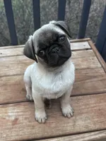 processed/524e2e43-2cee-4822-bc60-25e7e736f12f/facility/4d4c55af-75ca-4520-bcba-2e3343236109