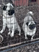 processed/524e2e43-2cee-4822-bc60-25e7e736f12f/facility/89996e74-b1e1-4813-9ad8-3ffb15d05197