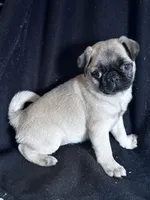 processed/524e2e43-2cee-4822-bc60-25e7e736f12f/facility/8d82e1bf-12d2-4631-a185-f474f5b55694