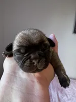 processed/524e2e43-2cee-4822-bc60-25e7e736f12f/facility/a95d2f60-02d7-4acb-9545-c7730d18f749