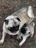 processed/524e2e43-2cee-4822-bc60-25e7e736f12f/facility/c3dfd77a-81d7-40f1-913c-8a1365a2afe7