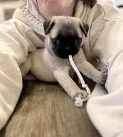 processed/524e2e43-2cee-4822-bc60-25e7e736f12f/facility/dd511754-63cd-45b7-93b0-fc706bc47f66