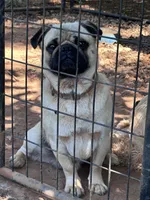 processed/524e2e43-2cee-4822-bc60-25e7e736f12f/facility/fb22e651-da85-48e1-816d-8561bb1aa034