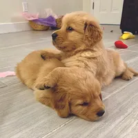 processed/52549cb4-257c-4d08-8c7f-0a7027fea32b/facility/166748e8-66b0-4af7-80fb-5b64fb74df81