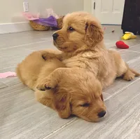 processed/52549cb4-257c-4d08-8c7f-0a7027fea32b/facility/166748e8-66b0-4af7-80fb-5b64fb74df81