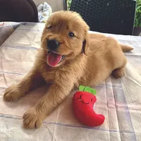 processed/52549cb4-257c-4d08-8c7f-0a7027fea32b/facility/2e6709f1-606f-4c64-a72d-952ac25f7005