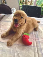 processed/52549cb4-257c-4d08-8c7f-0a7027fea32b/facility/2e6709f1-606f-4c64-a72d-952ac25f7005