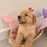 processed/52549cb4-257c-4d08-8c7f-0a7027fea32b/facility/2f129ec5-1237-4925-9a46-20136bfefc1d