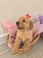 processed/52549cb4-257c-4d08-8c7f-0a7027fea32b/facility/2f129ec5-1237-4925-9a46-20136bfefc1d