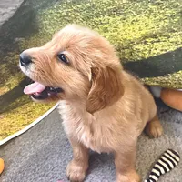 processed/52549cb4-257c-4d08-8c7f-0a7027fea32b/facility/c0b2c345-4c41-407f-ada5-3db69544d576