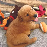 processed/52549cb4-257c-4d08-8c7f-0a7027fea32b/facility/c30e50f1-6b43-4b8d-b70f-1703fcd1d2e7