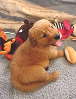 processed/52549cb4-257c-4d08-8c7f-0a7027fea32b/facility/c30e50f1-6b43-4b8d-b70f-1703fcd1d2e7