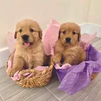 processed/52549cb4-257c-4d08-8c7f-0a7027fea32b/facility/f9b89d79-80a4-4a9c-a419-288b232ba26e