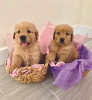 processed/52549cb4-257c-4d08-8c7f-0a7027fea32b/facility/f9b89d79-80a4-4a9c-a419-288b232ba26e