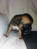 processed/525d7e86-55d3-4ab4-8515-d1db3632701d/listing/1fa33802-abc6-40e2-8d6f-d7fb34ff609c/1979b027-7a84-4afd-8e36-2deaa5ffa863