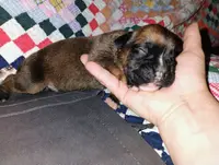 processed/525d7e86-55d3-4ab4-8515-d1db3632701d/listing/1fa33802-abc6-40e2-8d6f-d7fb34ff609c/2f550b3f-eced-4037-ad96-8ef03872a8ba