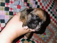 processed/525d7e86-55d3-4ab4-8515-d1db3632701d/listing/1fa33802-abc6-40e2-8d6f-d7fb34ff609c/78fd7c92-db54-4f39-a85a-ce0720da3711