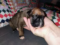 processed/525d7e86-55d3-4ab4-8515-d1db3632701d/listing/1fa33802-abc6-40e2-8d6f-d7fb34ff609c/8c2413ff-7578-4bc3-b8e6-be5d76c1c3de