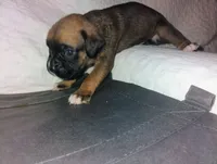 processed/525d7e86-55d3-4ab4-8515-d1db3632701d/listing/1fa33802-abc6-40e2-8d6f-d7fb34ff609c/b0631d8e-8bf7-4d74-b863-b4709d3692fd