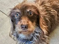 processed/525fbbfe-43f5-4b58-a9eb-9a7c83a02d0f/facility/1edb150b-30c6-4426-b85f-0554bcf4a313