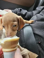 processed/525fbbfe-43f5-4b58-a9eb-9a7c83a02d0f/facility/9aad960f-4719-4877-87e0-0196b49428bd